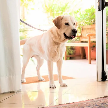 Aparthotel Fellini 3*